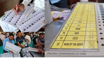 1764288134 unnamed file.jpg