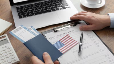 H 1b visas for indian companies fall sharply.jpg