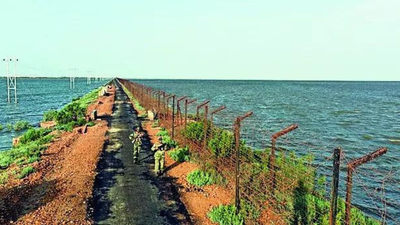 1764616699 unnamed file.jpg