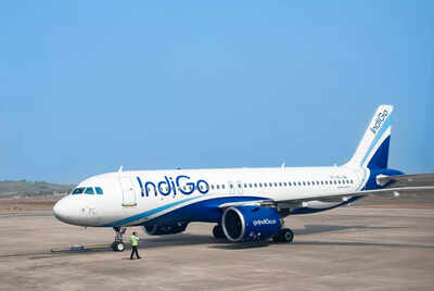 1764922657 indigo.jpg