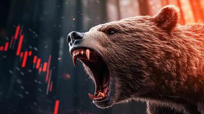 1765264554 unnamed file.jpg