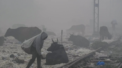 1765784878 representative image.jpg