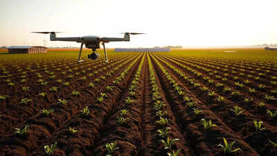 1766246843 unnamed file.jpg