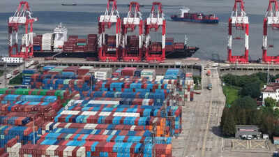 1766268854 unnamed file.jpg