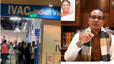 1766321893 untitled design.jpg