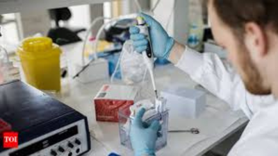 1766456080 representative image.jpg