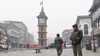 1766862032 untitled design 26.jpg