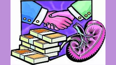 1766884489 untitled design 24.jpg