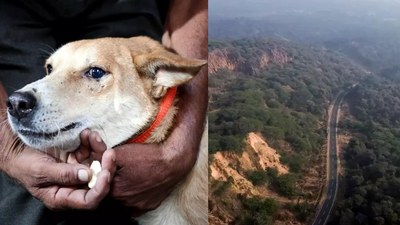 1767025189 image ani.jpg