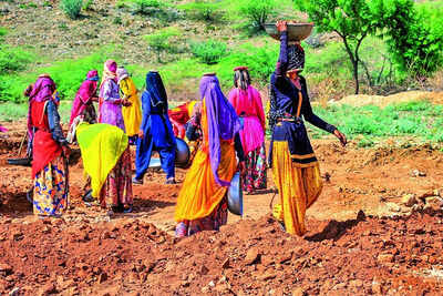 Govt 8 families got 100 days of work under nrega in last 3 fys.jpg