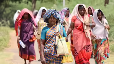 1768071500 unnamed file.jpg