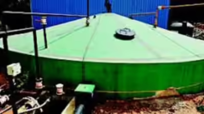 1768137832 unnamed file.jpg