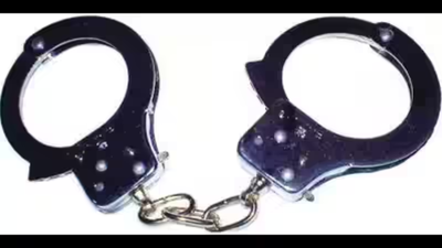 1768257627 untitled design 30.jpg