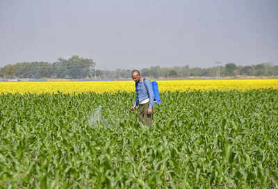 1768472930 unnamed file.jpg