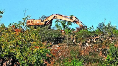 1769034810 representative image.jpg