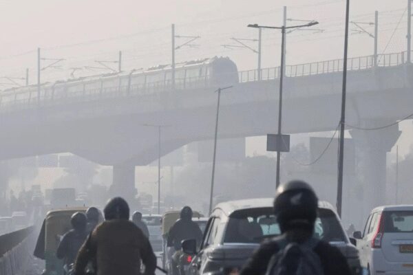 1769088999 photo.jpg