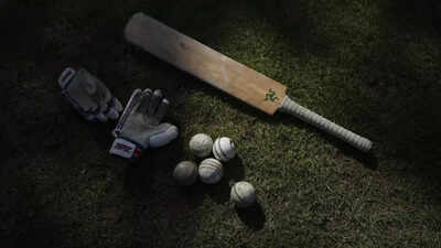 Cricket afp photo.jpg