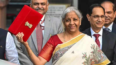 Fm nirmala sitharaman.jpg