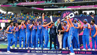 India win wc t20 1201 afp.jpg