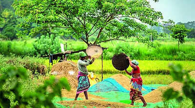 Red flags over sustainability of unconditional cash transfers.jpg