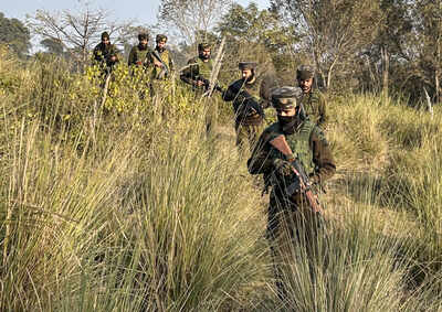 Search operation in j k39s samba.jpg