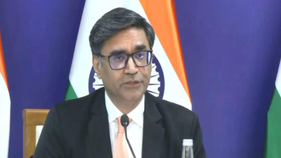 Vikram misri ani.jpg