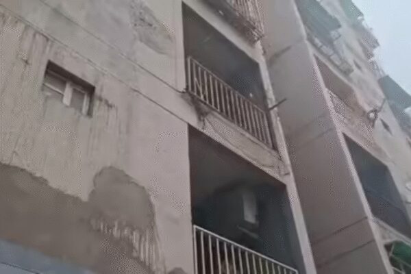 1770193272 photo.jpg