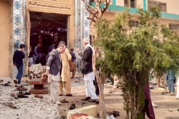 1770385106 photo.jpg