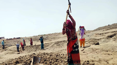 1770517981 unnamed file.jpg