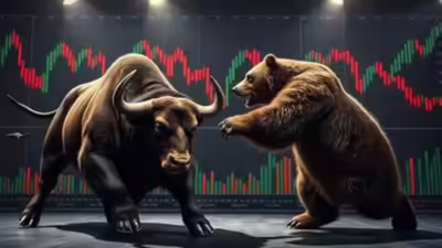 1770990552 unnamed file.jpg