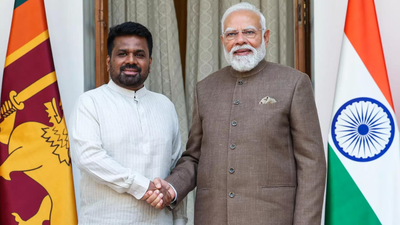 1771610786 unnamed file.jpg