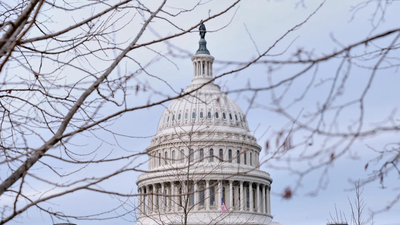 1771765217 unnamed file.jpg