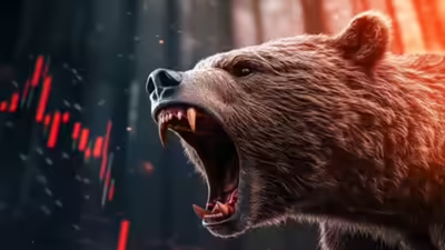 1771929317 unnamed file.jpg