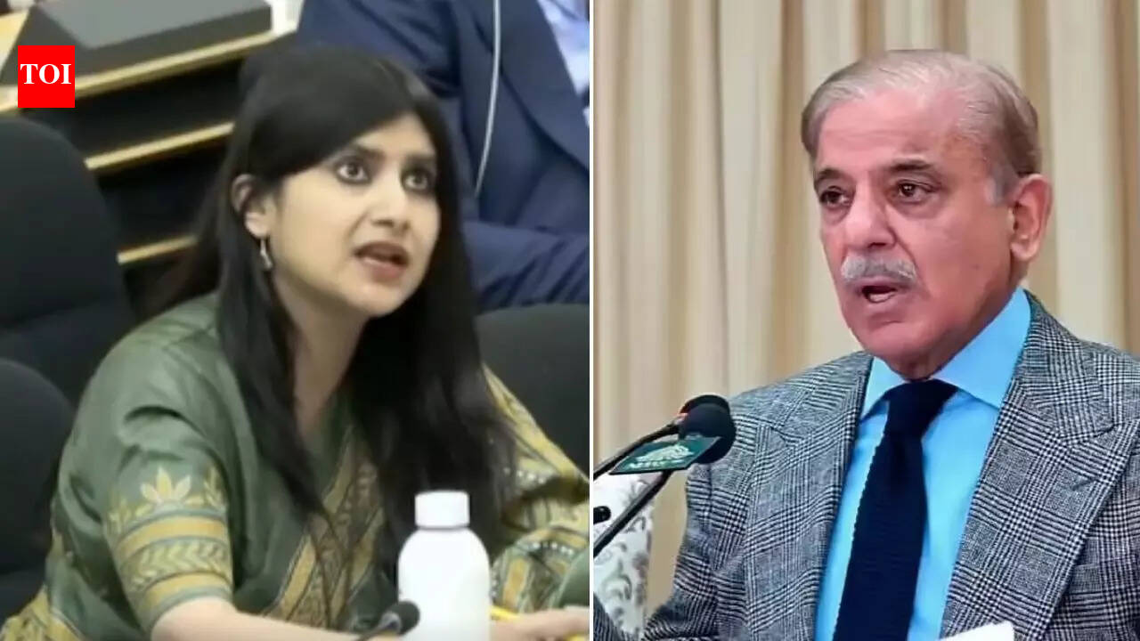 1772085397 photo.jpg