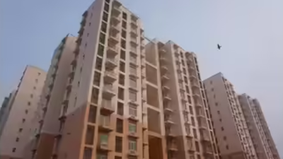 1772236717 unnamed file.jpg