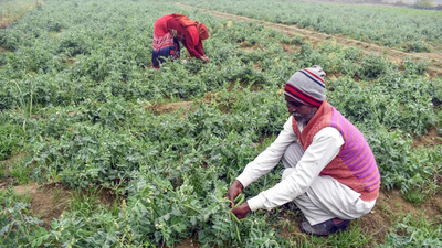 Image 2026 02 01t200124167.jpg