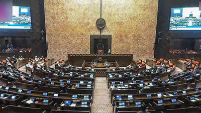 Parliament lok sabha.jpg