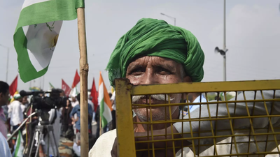 Pic 2026 02 12t083701974.jpg