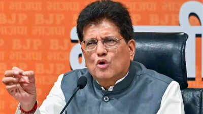 Piyush goyal 2.jpg
