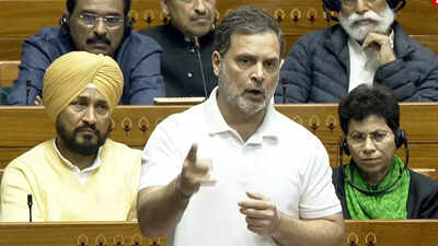 Rahul gandhi in lok sabha.jpg