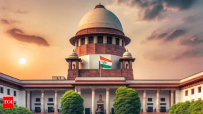 Sc has asked karnataka govt to respond to the appeal within two weeks ai image.jpg