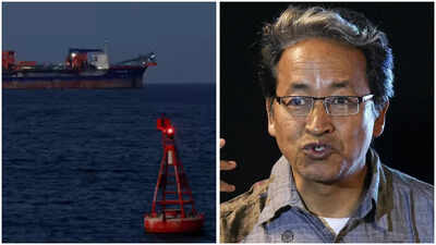 1773493216 untitled design 27.jpg