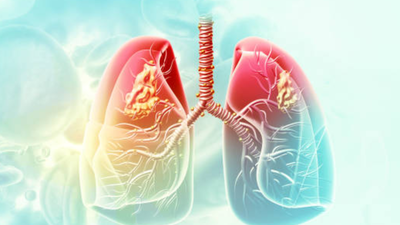 1774033258 unnamed file.jpg