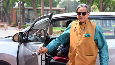 Photo credit ani.jpg