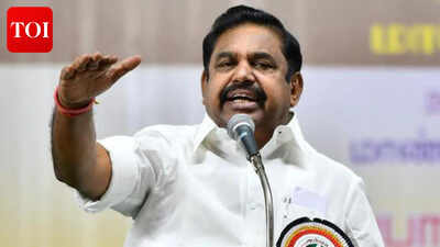 Untitled design 2026 03 25t162256.jpg