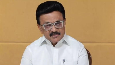 1775777995 unnamed file.jpg