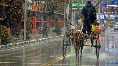 1776109816 unnamed file.jpg