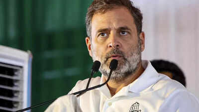 1776915619 rahul gandhi.jpg