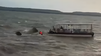 1777562313 unnamed file.jpg