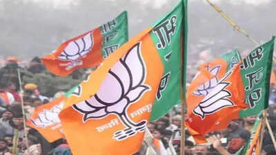Bjp flag.jpg